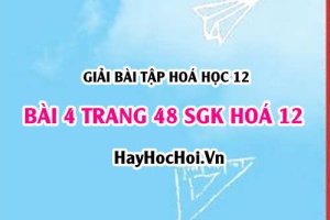 Giải bài 4 trang 48 SGK Hoá 12: Tính chất hoá học của Amino Axit